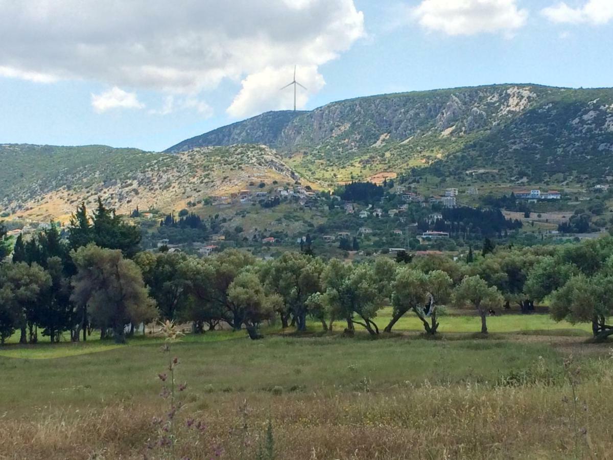 Bed & Breakfast Zeytinli Konak *